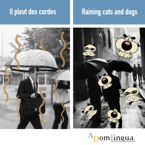 proverbes anglais Il pleut des cordes