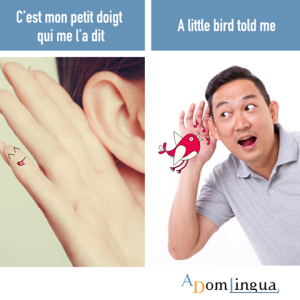 c est mon petit doigt qui me l a dit